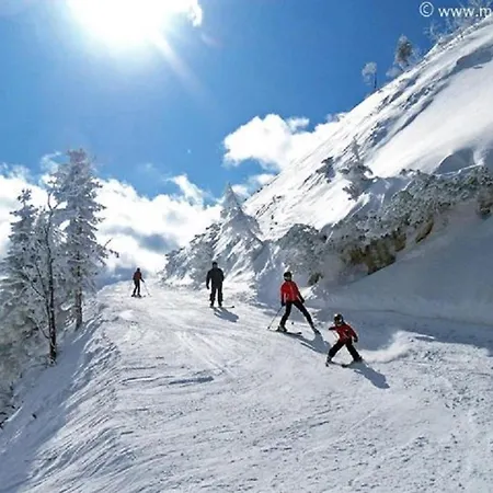 Familie Zuser Garni 3* Mitterbach